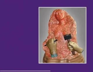 Essentials of Aesthetic Surgery