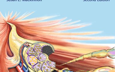 Nerve Surgery 2nd Edition