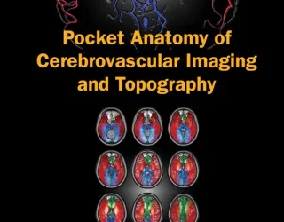 Pocket Anatomy of Cerebrovascular Imaging and Topography