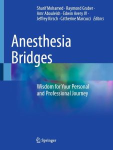 Anesthesia Bridges: Wisdom for Your Personal and Professional Journey