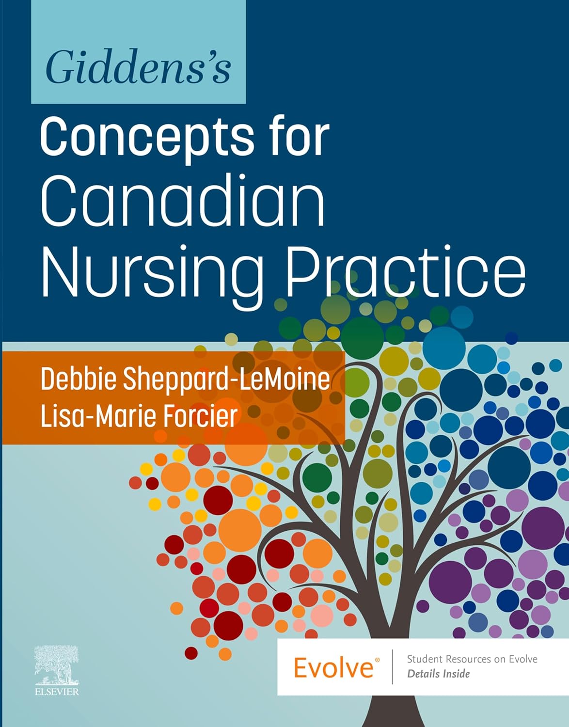 Giddens’s Concepts for Canadian Nursing Practice Giddens’s Concepts for Canadian Nursing Practice