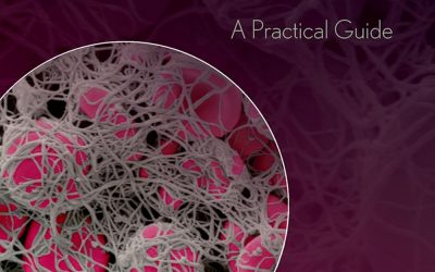 Interpretation of Results of Routine and Special Coagulation Tests A Practical Guide(