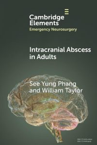 Intracranial Abscess in Adults (Elements in Emergency Neurosurgery)