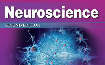 Lippincott Illustrated Reviews: Neuroscience Second Edition 2nd Ed