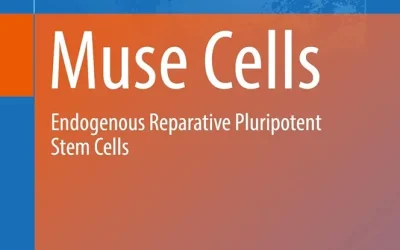 Muse Cells Endogenous Reparative Pluripotent Stem Cells