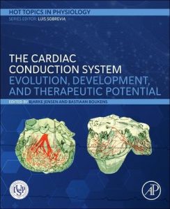 The Cardiac Conduction System: Evolution, Development, and Therapeutic Potential (Hot Topics in Physiology) 1st Edition