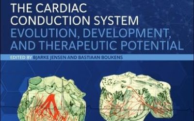 The Cardiac Conduction System: Evolution, Development, and Therapeutic Potential (Hot Topics in Physiology) 1st Edition