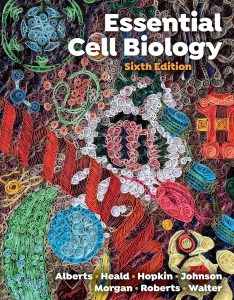 Essential Cell Biology 6th Edition