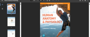 Human Anatomy & Physiology Laboratory Manual: Making Connections, Main Version 2nd Edition