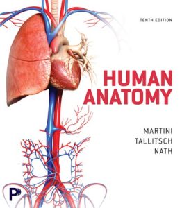 Human Anatomy, 10th edition