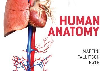 Human Anatomy, 10th edition