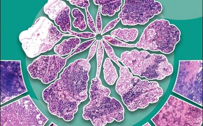 Diagnostic Pathology: Breast, 4th Edition