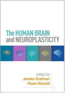 The Human Brain and Neuroplasticity
