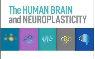 The Human Brain and Neuroplasticity