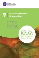 2026-2027 Basic and Clinical Science Course, Section 9:Uveitis and Ocular Inflammation