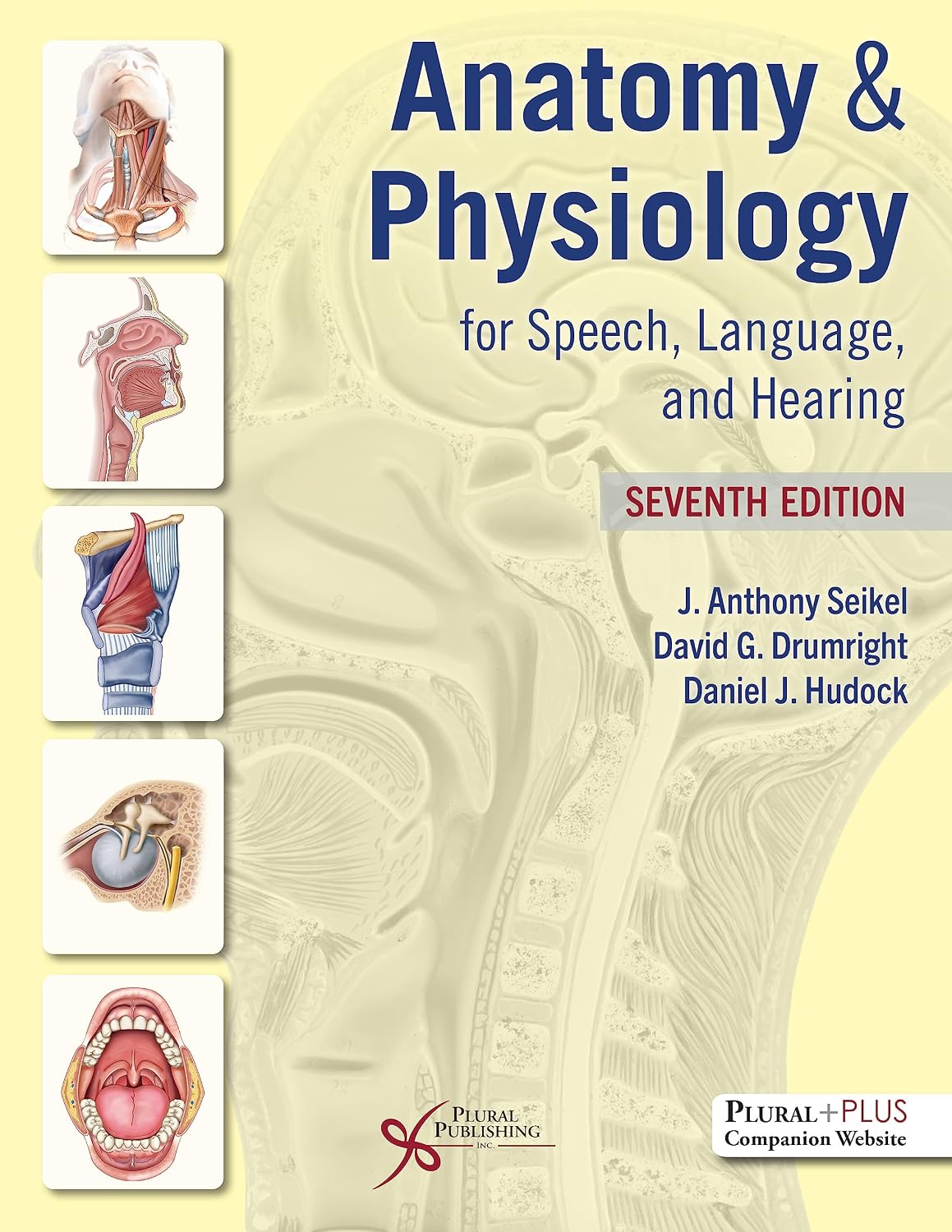 Anatomy & Physiology for Speech, Language, and Hearing 7th Edition