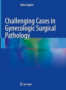 Challenging Cases in Gynecologic Surgical Pathology 2023rd Edition