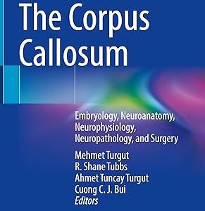 The Corpus Callosum: Embryology, Neuroanatomy, Neurophysiology, Neuropathology, and Surgery 1st ed. 2023 Edition