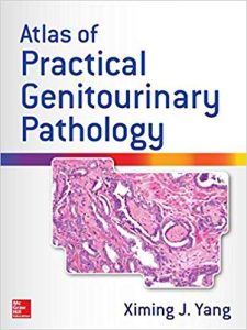 Atlas of Practical Genitourinary Pathology 1st Edition