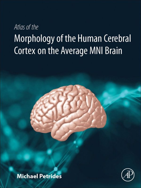 Atlas of the Morphology of the Human Cerebral Cortex on the Average MNI Brain 1st Edition