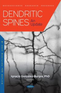 Dendritic Spines: An Update First Edition