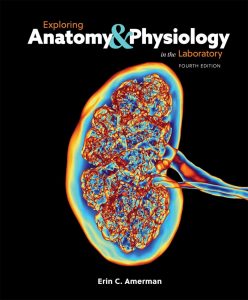 Exploring Anatomy & Physiology in the Laboratory 4th Edition