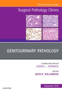 Genitourinary Pathology, An Issue of Surgical Pathology Clinics (Volume 15-4) (The Clinics: Internal Medicine, Volume 15-4) 1E