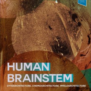 Human Brainstem: Cytoarchitecture, Chemoarchitecture, Myeloarchitecture 1st Edition