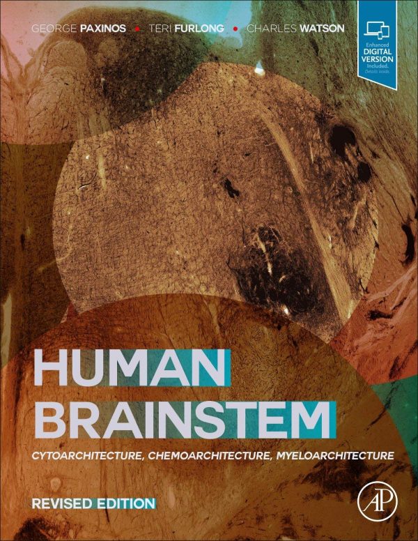 Human Brainstem: Cytoarchitecture, Chemoarchitecture, Myeloarchitecture 1st Edition