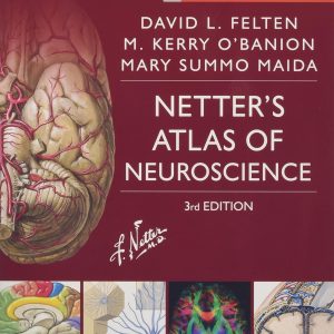 Netter’s Atlas of Neuroscience (Netter Basic Science) 3rd Edition