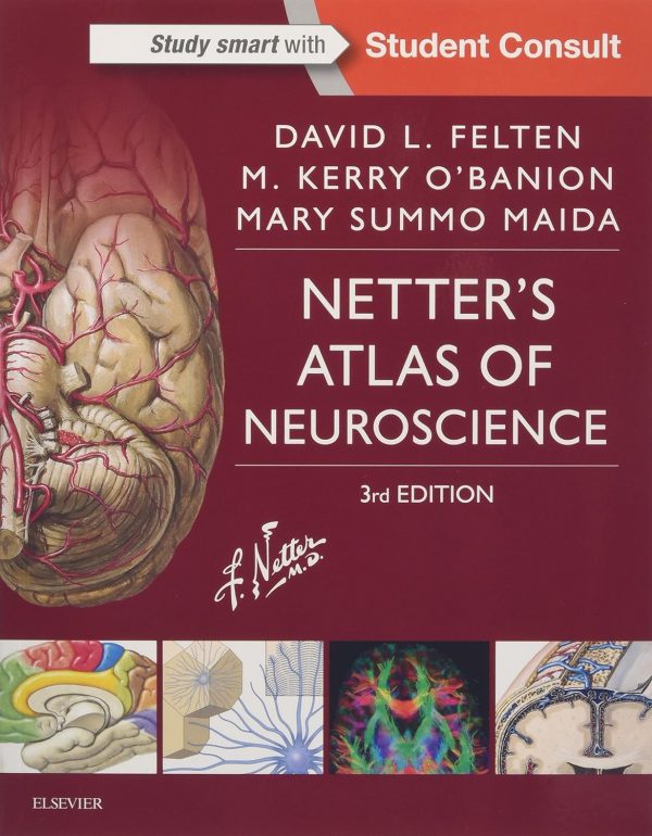 Netter’s Atlas of Neuroscience (Netter Basic Science) 3rd Edition