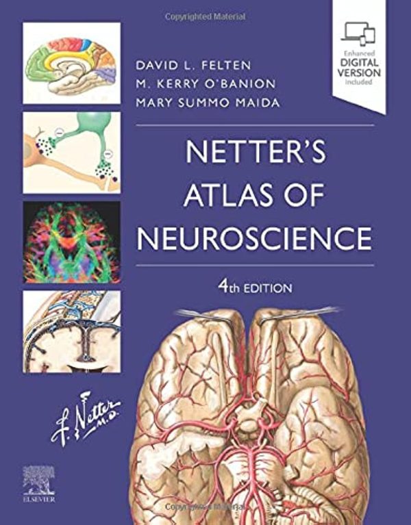 Netter’s Atlas of Neuroscience (Netter Basic Science) 4th Edition