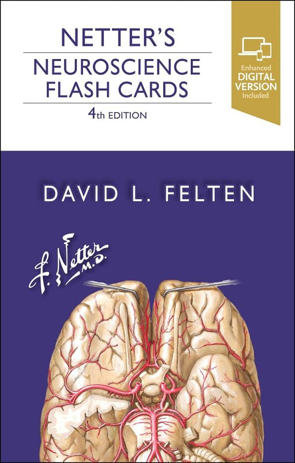 Netter’s Neuroscience Flash Cards 4th Edition