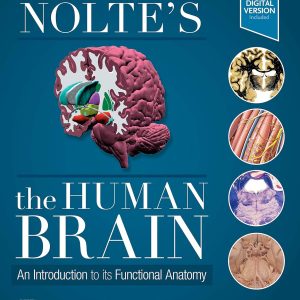 Nolte’s The Human Brain: An Introduction to its Functional Anatomy 8th Edition