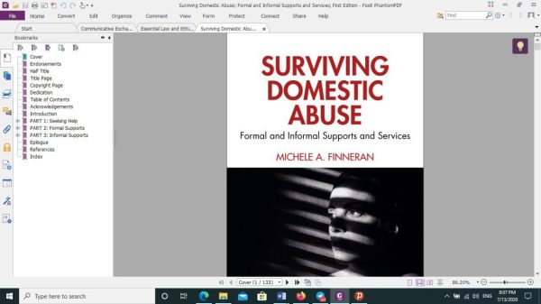 Surviving Domestic Abuse Formal and Informal Supports and Services First Edition